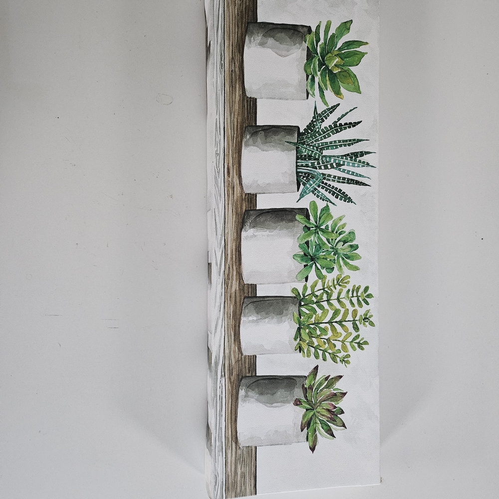 Potted Succulent Canvas Art Print